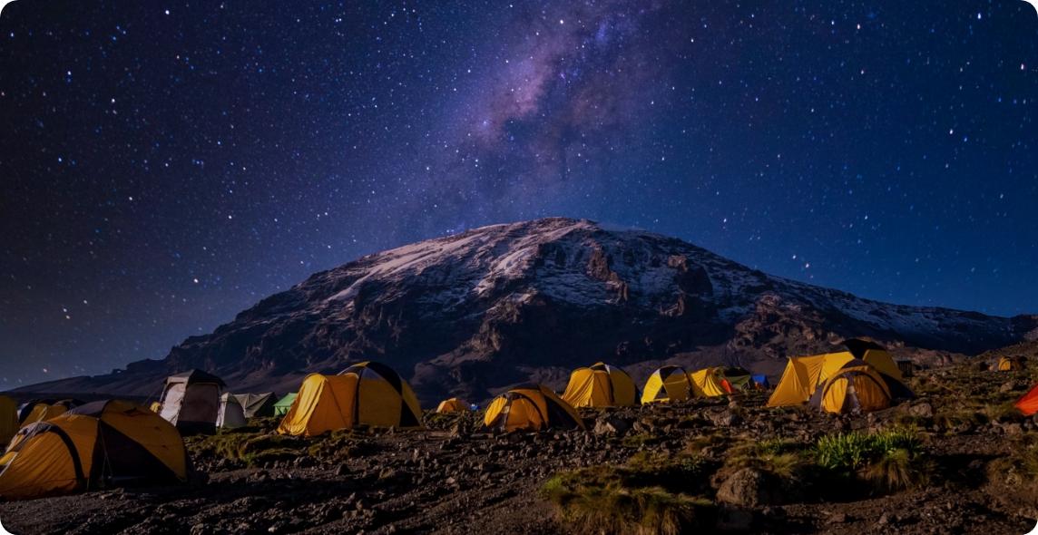 Kilimanjaro Wildlife