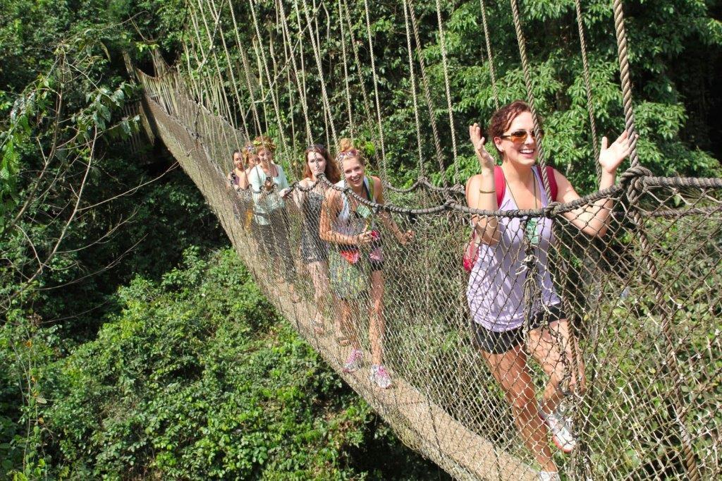 Canopy Tree Walk