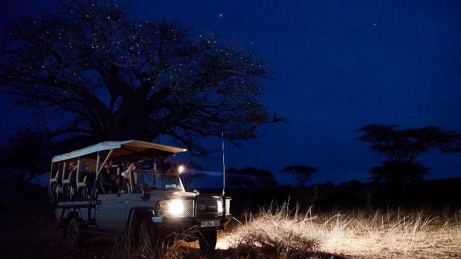 Night Game Drives