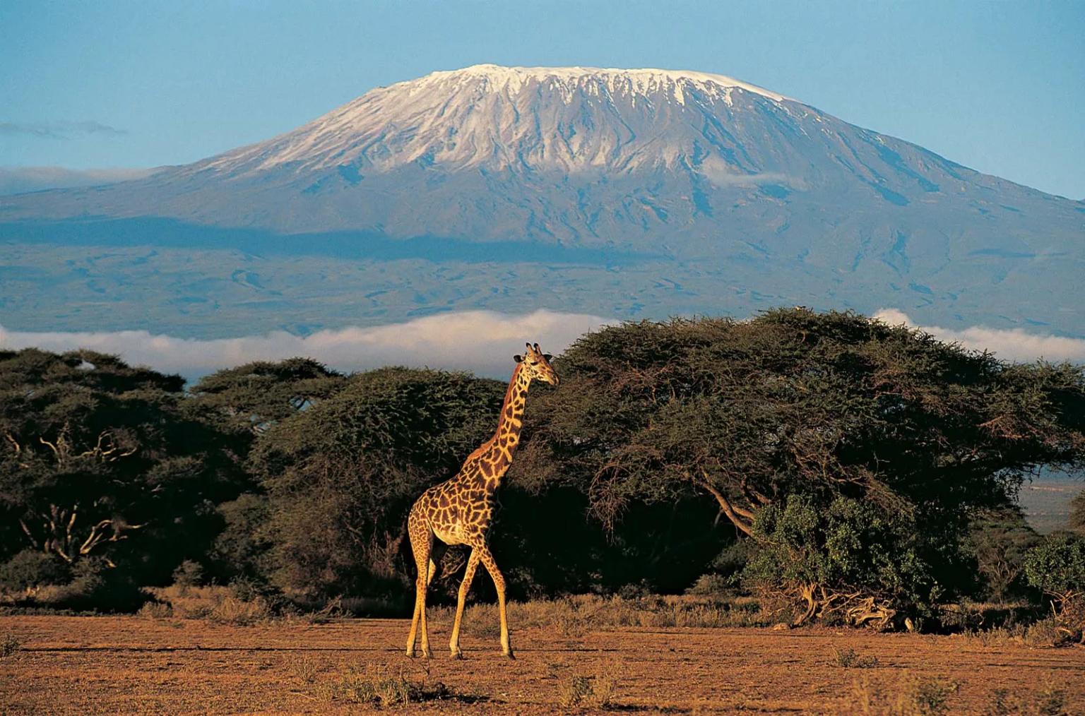 History of Serengeti
