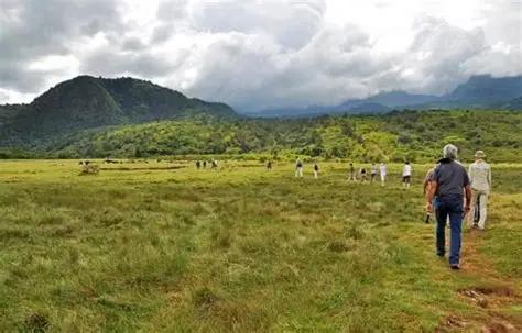Long Walking Safari (Chorangwa Trail)