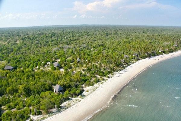 Game Drives (Beach & Bush)