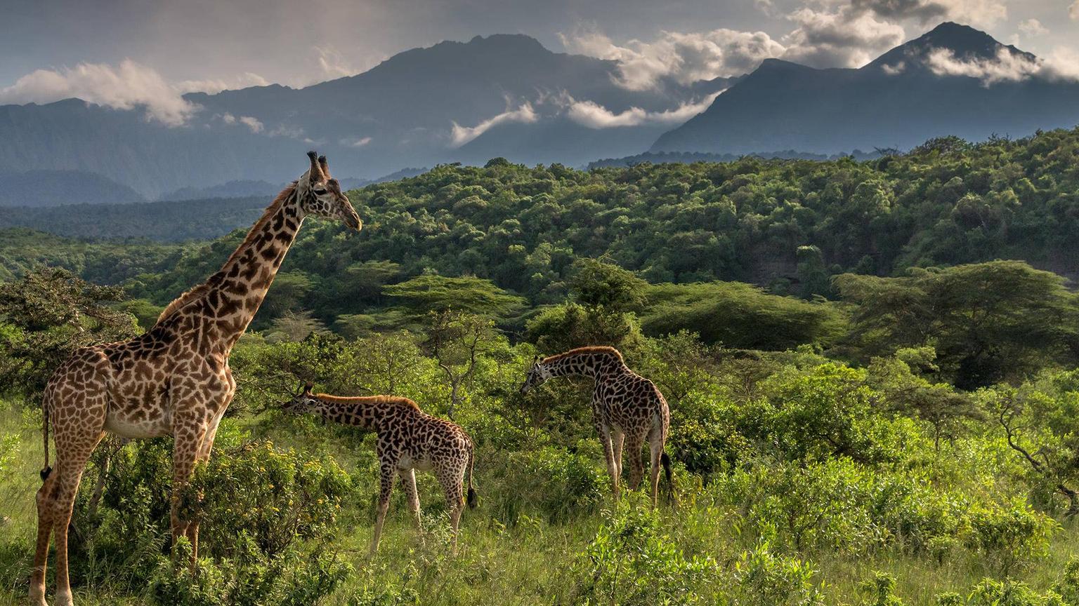 History of Arusha National Park