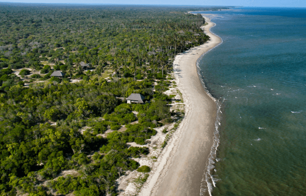 Coastal Savanna