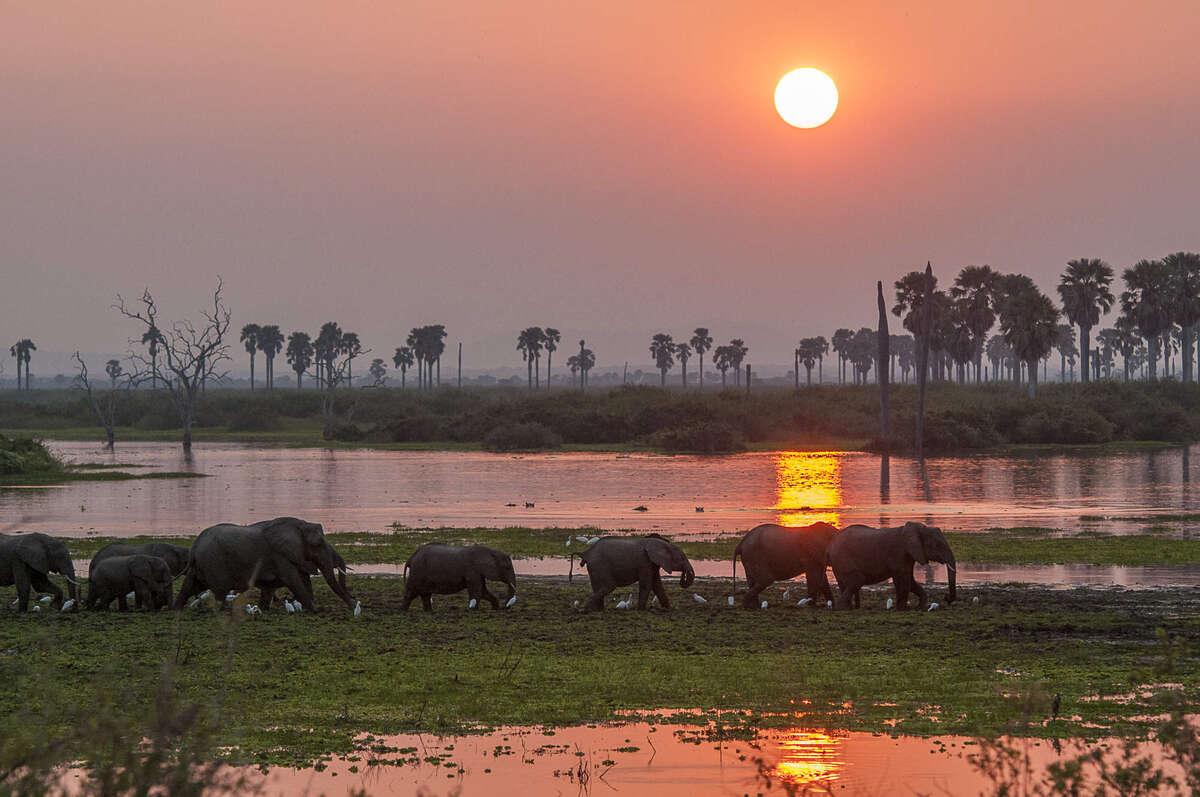 Great Ruaha River