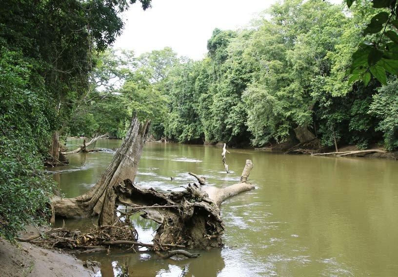 Saadani habitats