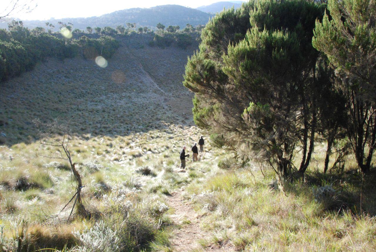 Nature Walks (Lower Forest Zone)