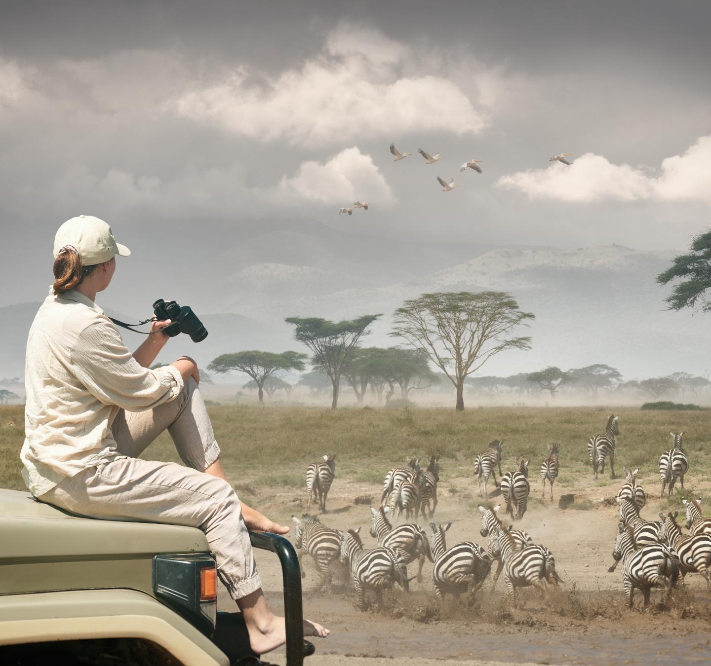 Plan a Trip - Tanzania National Parks