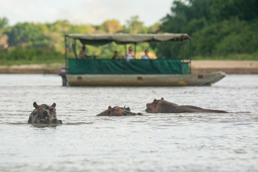 Wild Dog Stronghold