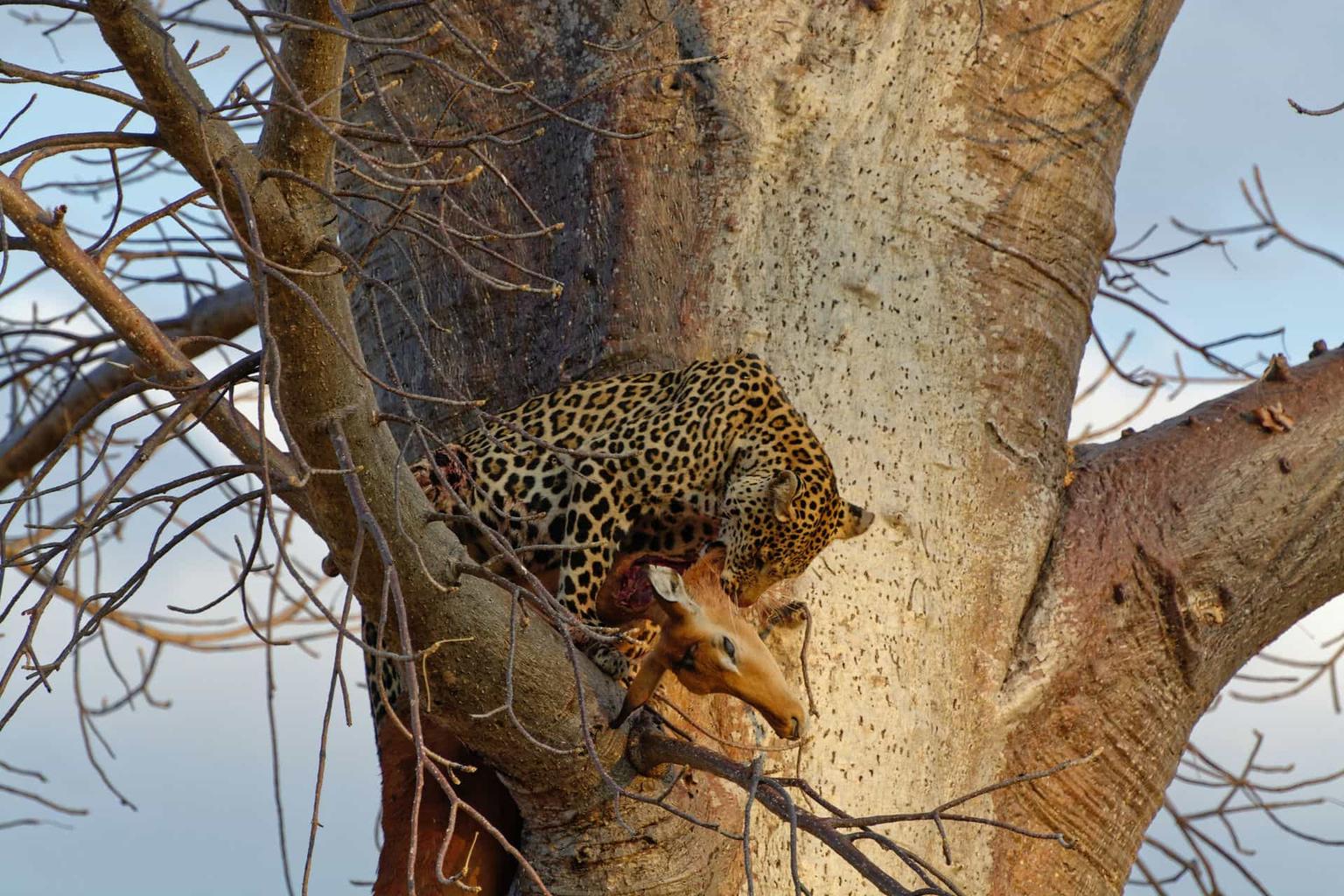 History of lake ruaha